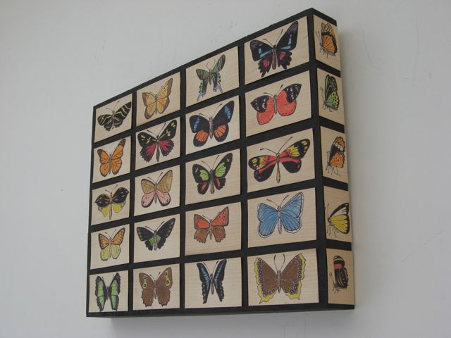 Specimens